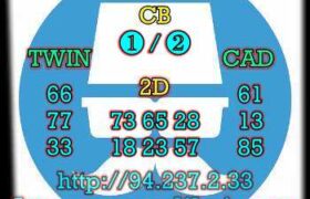 prediksi china 12 februari 2023