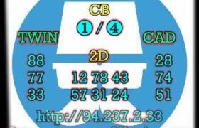 prediksi china 8 februari 2023